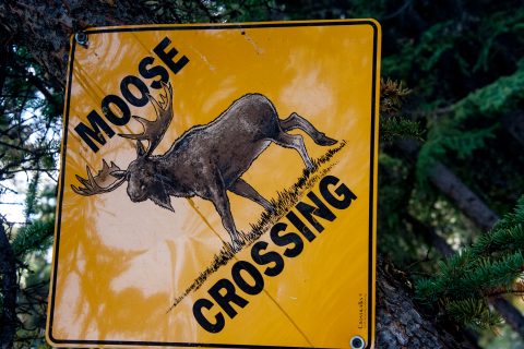 Road sign, Alaska