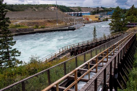 Whitehorse Rapids Fishway, Yukon, Canada