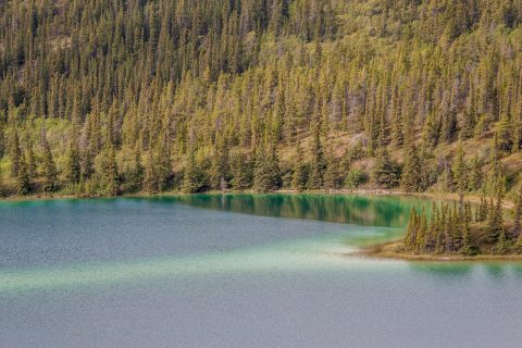 Emerald Lake, near Carcross, Yukon, Canada