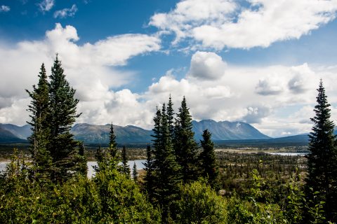Tutshi Lake, British Columbia, Canada