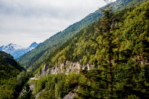 Skagway River valley, Alaska