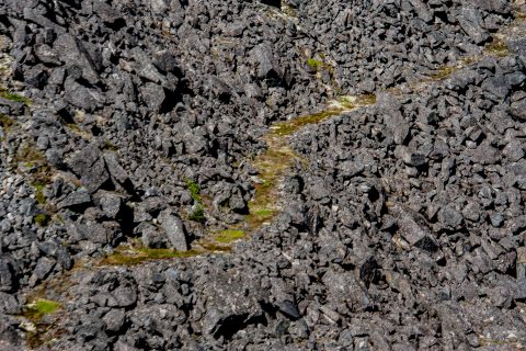 Klondike trail of 1898 from train, Skagway, Alaska