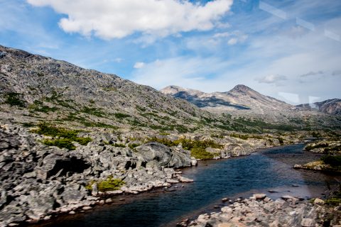 Fraser Meadows  - headwaters of Yukon, Bristish Columbia, Canada