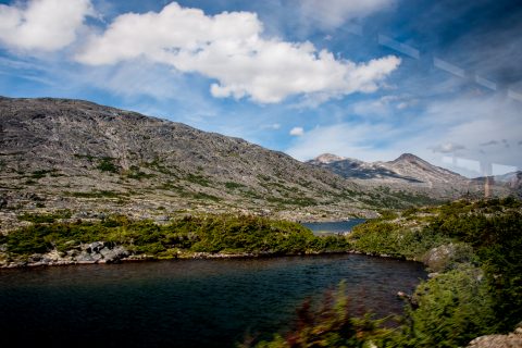Fraser Meadows  - headwaters of Yukon, Bristish Columbia, Canada
