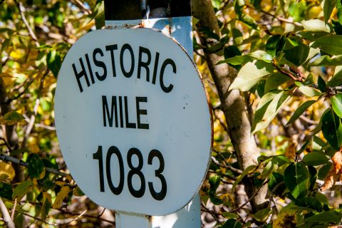 Alaska Highway marker post, near Haines Junction, Yukon, Canada