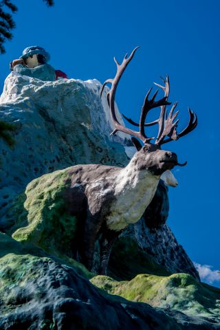 Haines Junctionn. monument - named 'Animal Cupcake', Yukon, Cana