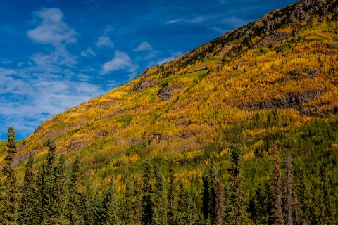 Autumn colour, Pickhandle Lake, Yukon, Canada