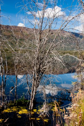 Pickhandle Lake, Yukon, Canada