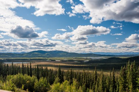 Tetlin National Wildlife Refuge, Tok,  Alaska