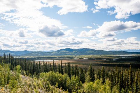Tetlin National Wildlife Refuge, Tok,  Alaska
