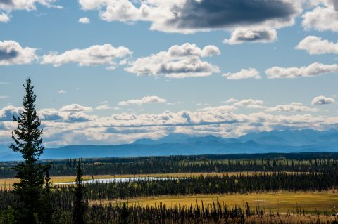 Seaton Recreation Area, Tok, Alaska