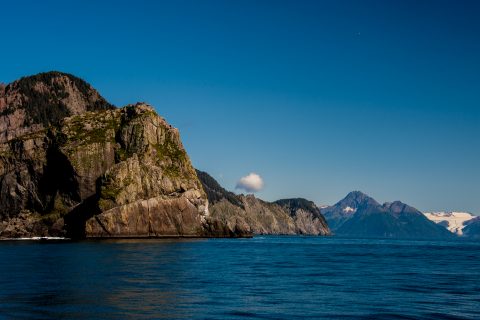 Bear Glacier, Gulf of Alaska