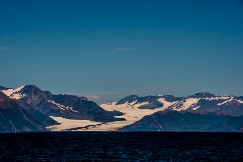 Holgate Glazier, Holgate Arm, Gulf of Alaska