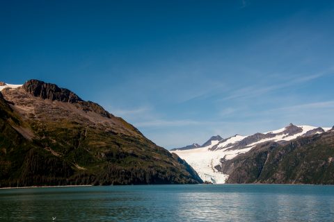 Holgate Glacier, Holgate Arm, Gulf of Alaska