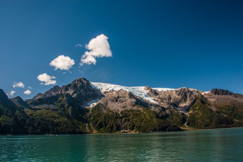 Holgate Glacier, Holgate Arm, Gulf of Alaska