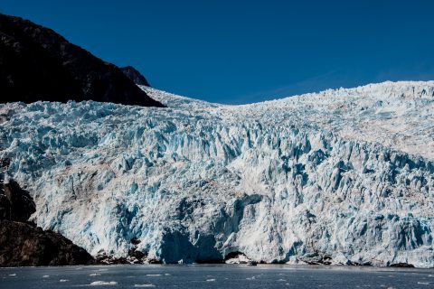 Holgate Glacier, Holgate Arm, Gulf of Alaska
