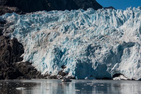 Holgate Glacier, Holgate Arm, Gulf of Alaska