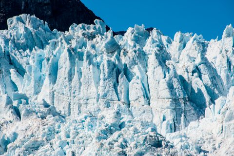 Holgate Glacier, Holgate Arm, Gulf of Alaska