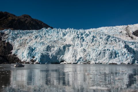 Holgate Glacier, Holgate Arm, Gulf of Alaska
