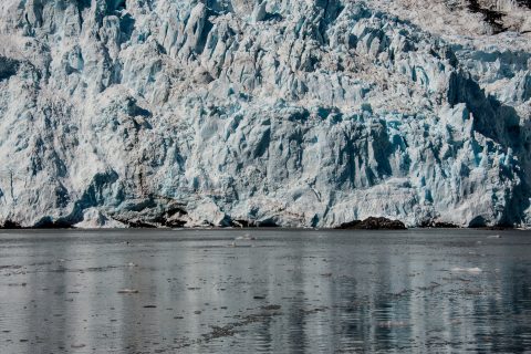 Holgate Glacier, Holgate Arm, Gulf of Alaska