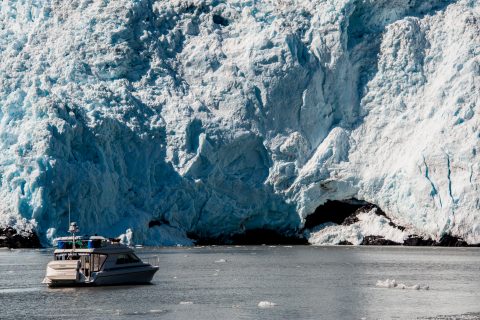 Holgate Glacier, Holgate Arm, Gulf of Alaska