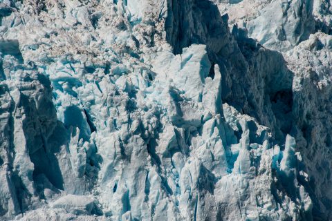 Holgate Glacier, Holgate Arm, Gulf of Alaska