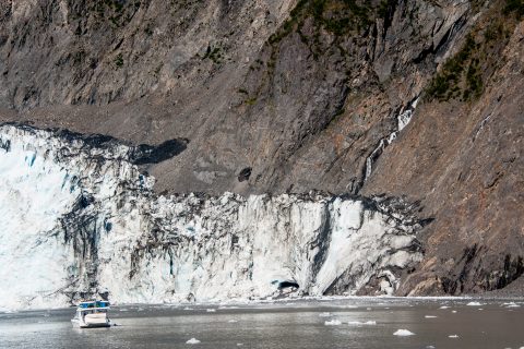 Holgate Glacier, Holgate Arm, Gulf of Alaska