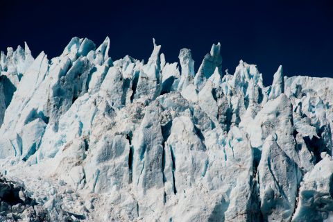 Holgate Glacier, Holgate Arm, Gulf of Alaska