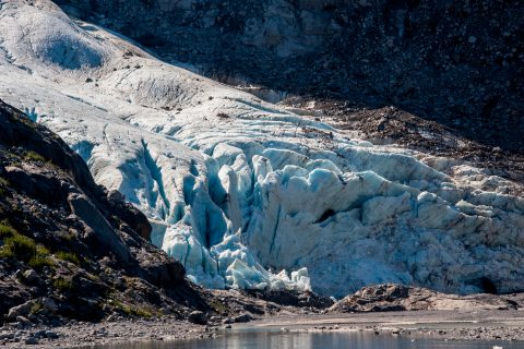 Holgate Glacier, Holgate Arm, Gulf of Alaska