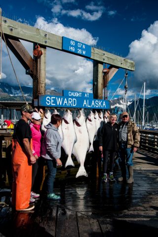 Todays catch at Seward, Alaska