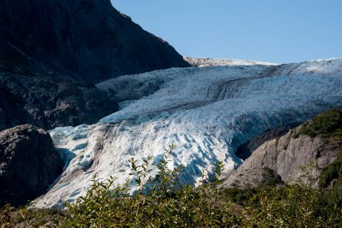 Exit Glacier, Seward, Alaska
