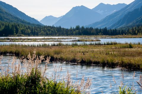 Tern Lake, near Cooper Landing, Alaska