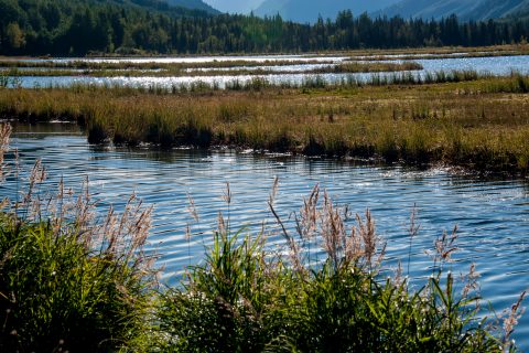 Tern Lake, near Cooper Landing, Alaska