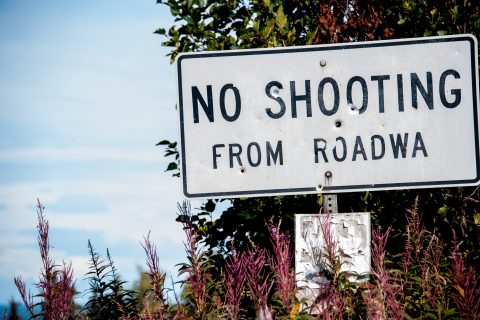 Road sign, near Homer, Alaska