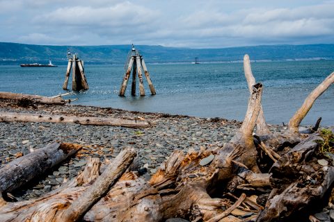 Homer Spit beach, Alaska