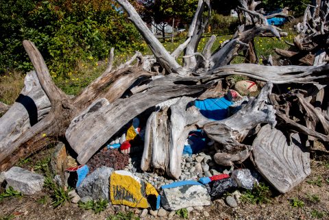 Droftwood collection, Powel River