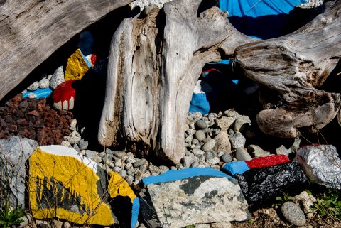 Droftwood collection, Powel River