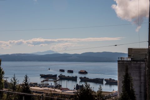 The Hulks Breakwater, Powell Street