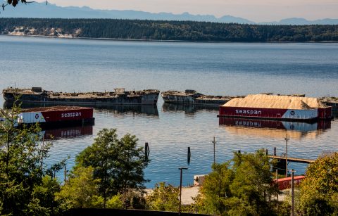 The Hulks Breakwater, Powell Street
