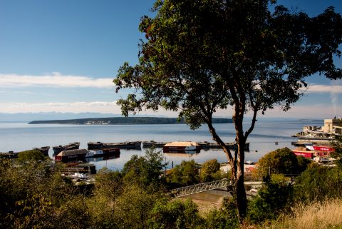 The Hulks Breakwater, Powell Street