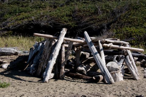 Driftwood, Wickinmish Beach, Vancouver Island