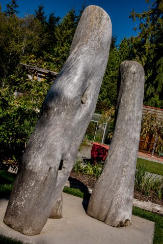 Adam & Eve, Botanical Gardens, Tofino, Vancouver Island