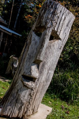 Botanical Gardens, Tofino, Vancouver Island