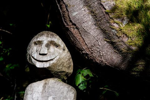 Botanical Gardens, Tofino, Vancouver Island