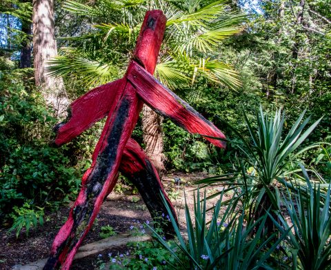 Red Man Running, Botanical Gardens, Tofino