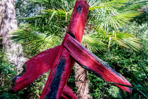 Red Man Running, Botanical Gardens, Tofino