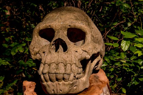 Tofino Man, Botanical Gardens, Tofino