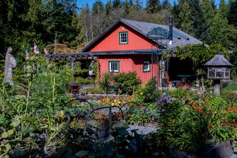 Botanical Gardens, Tofino, Vancouver Island