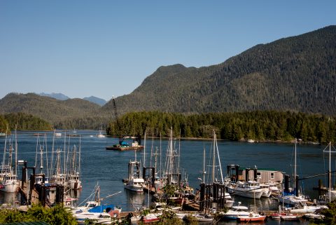 4th Street Quay, Tofino, Vancouver Island