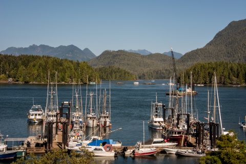4th Street Quay, Tofino, Vancouver Island